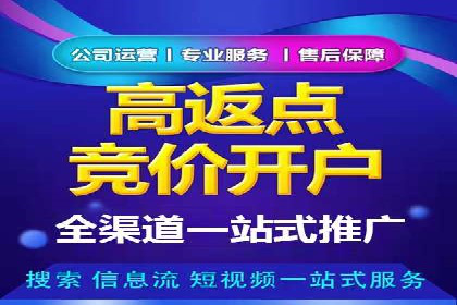 短视频信息流广告投放策略与案例分析
